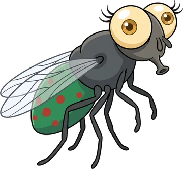 Moni the fly